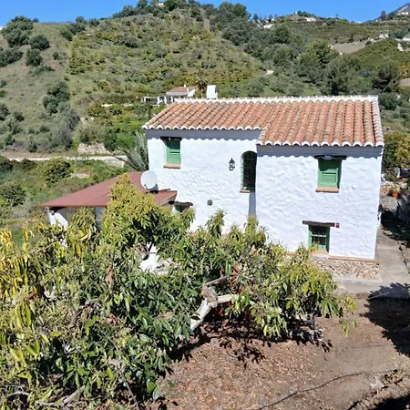 El Olivarillo *